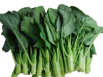 芥蓝原锟较憋拷锟斤拷锟斤拷甘蓝菜,盖蓝菜原锟较凤拷锟洁:蔬菜类及